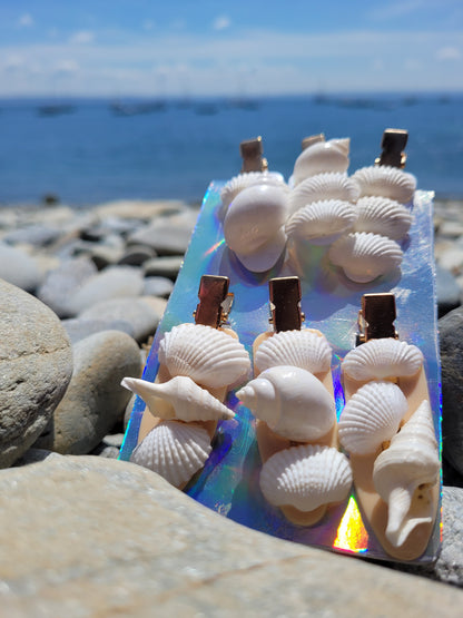 Pinces coquillages