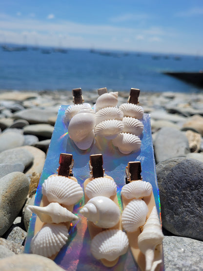 Pinces coquillages