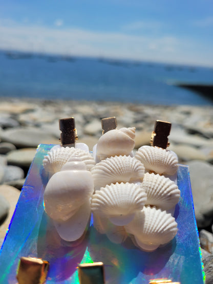 Pinces coquillages