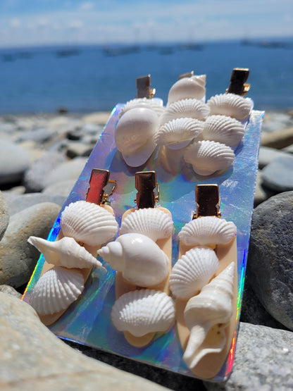 Pinces coquillages